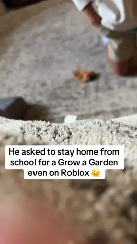 Yes EVENT is spelled wrong 😂😂Grow a Garden will be the death of me 🫠 #roblox #growagarden #growagarden🥒🌶🍅 #school 