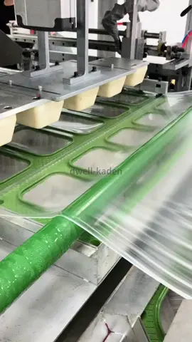 Innovative Technology, Premium Food Containers In our factory, we use one-step technology to produce square food containers made from pure PP material, ensuring each container is strong, durable.  Whatsapp：+86 189 1297 6278 E-mail：salxst@dwell-extrusion.com #FoodContainers #EcoPackaging #FoodPackaging #Extruder #PP #EfficientProduction