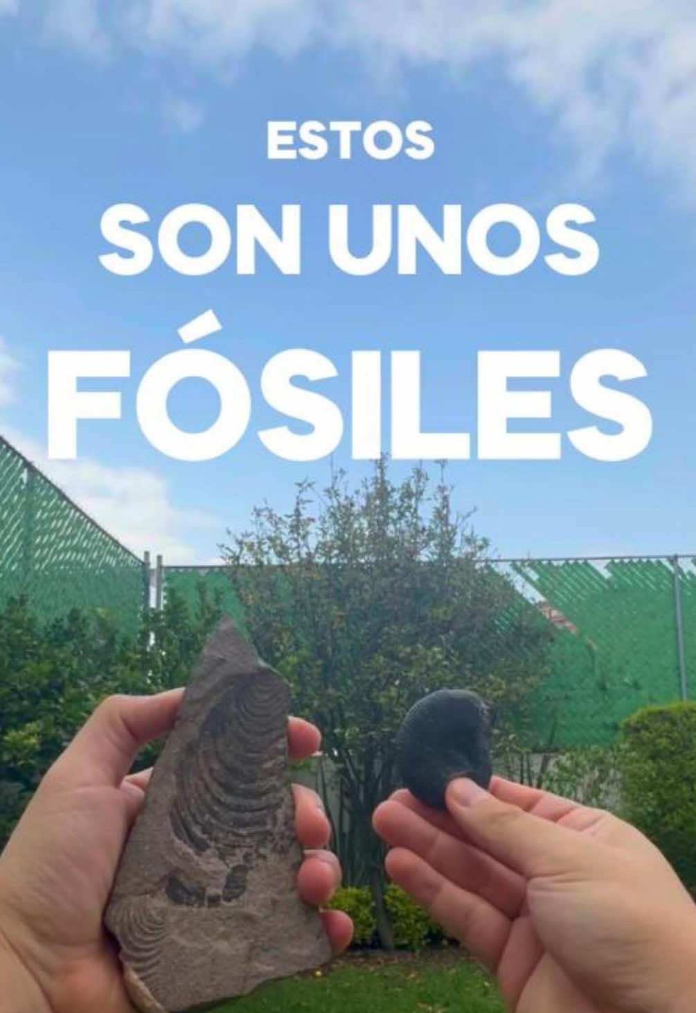 #gabogabb #curiosidades 