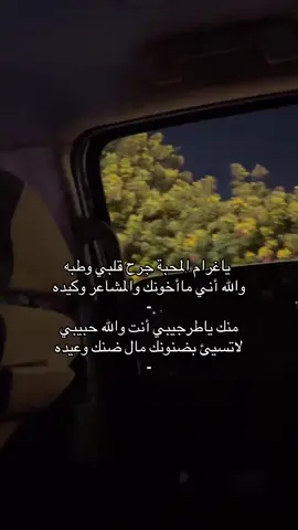 #لايك #عشوائيات #شيلات 