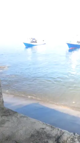 #phanter 🔥#foryoupage #pelautpunyacerita #fyppppppppppppppppppppppp 