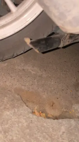 CEKOMBAK #masukberanda #xybca #jogja24jam #giwargiwar #yogyakartaistimewa 