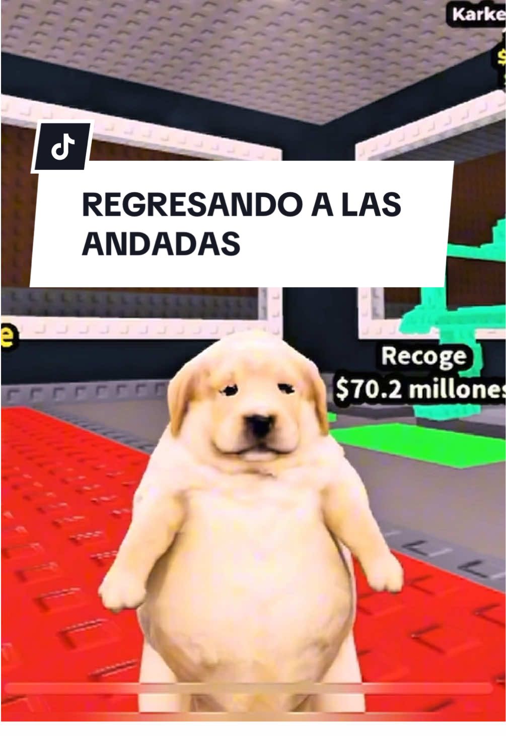 Están listos para la segunda edición de los juegos del hambre ?   #ch4ng0 #K4YDY #stealabrainot #robloxfyp #robaunbrairont 