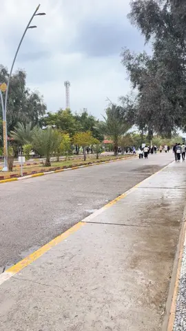 شتاقيت للجامعة بهالاجواء🤍 #اكسبلور #جامعة_الانبار #الرمادي_شموخ_عزالانبار #الرمادي_مدينتي #شتاء #مطر #جامعة #الانبار #جامعه_الانبار 