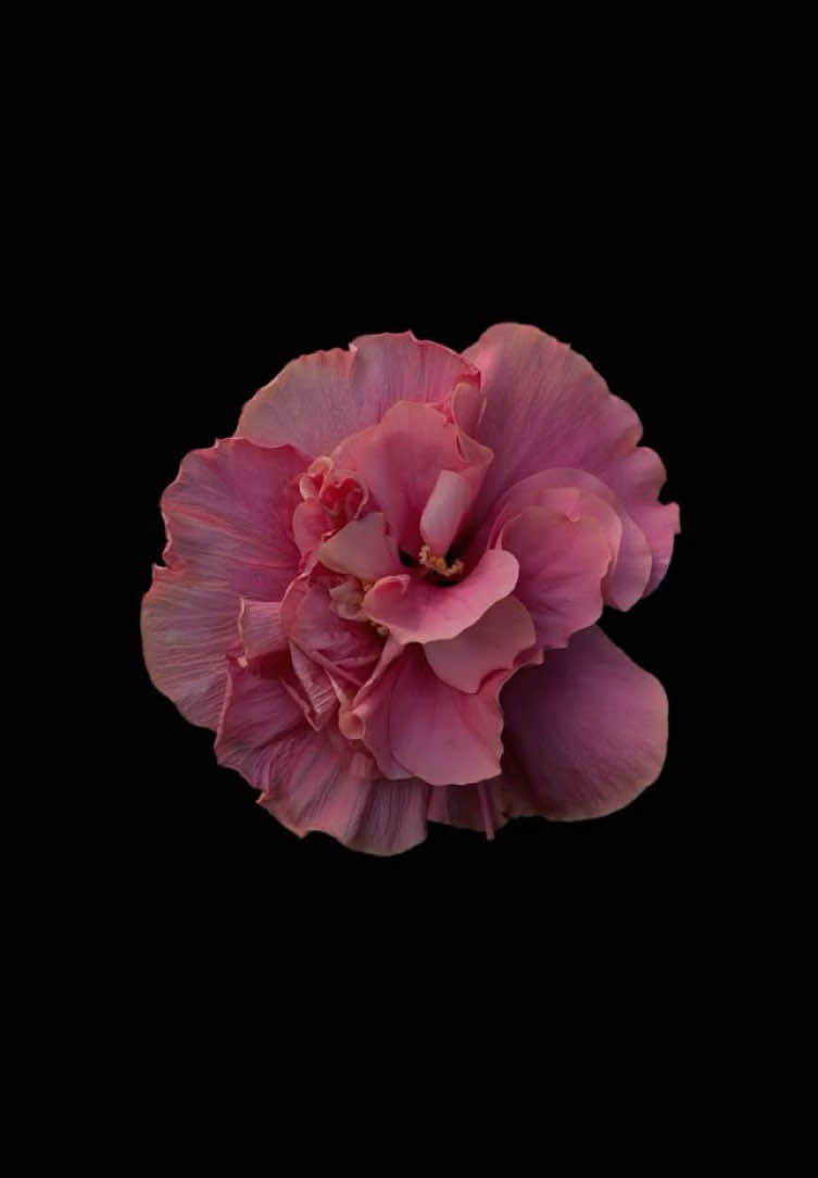 I saw this quote recently that said “if it triggers you then that’s good, now you can see where the wound still breathes”. I find that beautiful because I don’t believe triggers are meant to signify as something evil or bad… but something comparable to a map - guiding us to a destination that pleads for acknowledgement & to be healed. We often think that we’re making the correct decision by mentally fleeing from the things correlating back to a bad experience. But in truth we’re continuing to leave that wound unattended..  Dont neglect your hurt or you’ll inevitably start limiting your physical & mental capabilities. Keep going 🫶 - Mr. Lostmen  #hopecore #fyp  