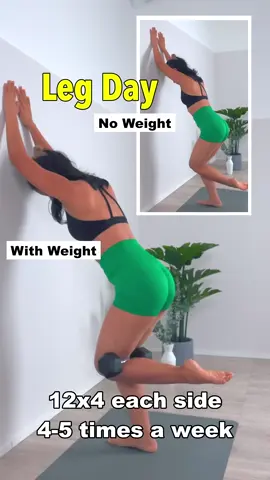 LEG WORKOUT at Home legs #legday #legworkout #lowerbody #tonedlegs #exercise #homefitness #Fitness #gym #homeworkout #usa #fitnessmotivation