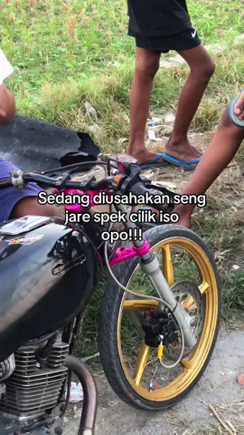 #sedulurherex#herexjatim#w9style#trondolstyle