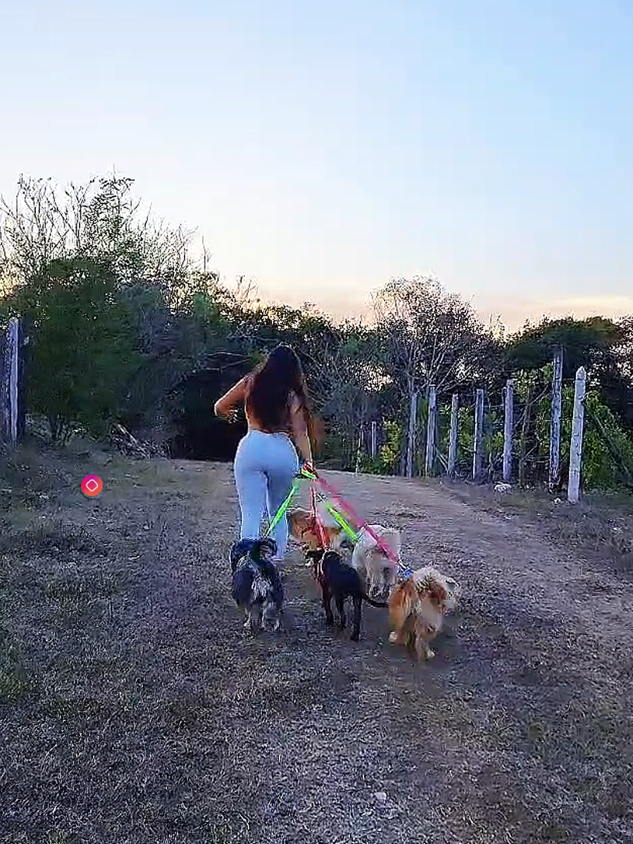 Amor real🐶 #fyp #perruno #amor 