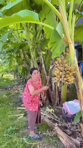 New Funny Videos 2025, Chinese Funny Video try not to laugh #short​ 🤣😂