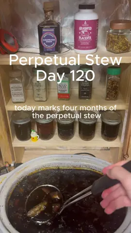 #perpetualstew #stew #soup #FoodTok #lazycooking 