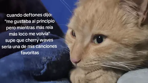 if like youuuu #cherrywaves #saturdaynightwrist #deftones #chinomoreno #fyp #paratiiiiiiiiiiiiiiiiiiiiiiiiiiiiiii #foryoupage #foryou #tiktok 