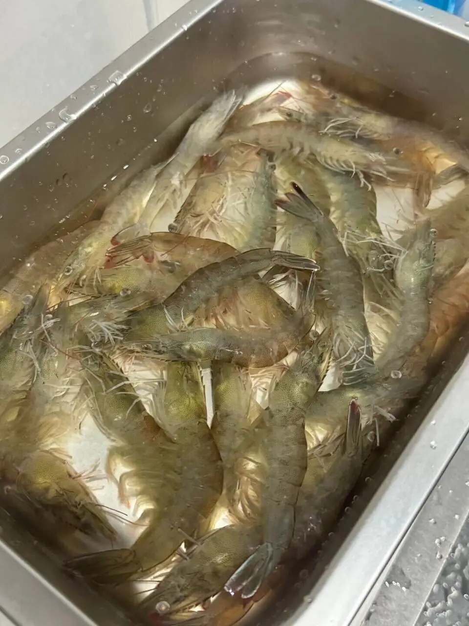 Garlic water spinach is refreshing and crispy, while vermicelli and garlic shrimp are fresh and fragrant. The simple garlic flavor warms your stomach and heart. Let's eat together, happiness is so simple.#Dinner I is as simple as that