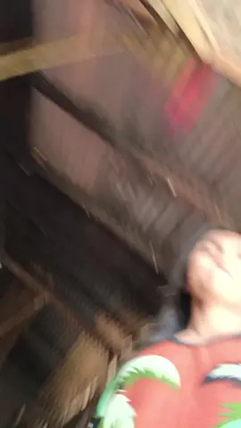 pasar mankos Imo 😆 #pasar #bagsak #fyp 