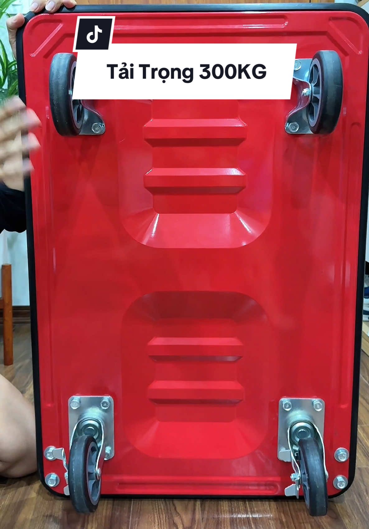 Xe đẩy gấp gọn FUJIHOME tải trọng 300KG #haohomhinh #xedayhanggapgon 