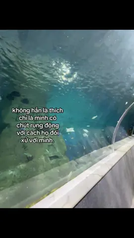 òmmm #xuhuongtiktok2025 #fyp #bani_yew_ccau🧸🎀 