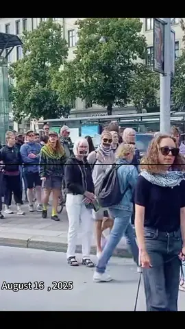The crowd moves slowly along the street, holding neat banners and signs.#StreetMarch#PeacefulCrowd#PublicGathering#CityProtest#PeopleWalking.