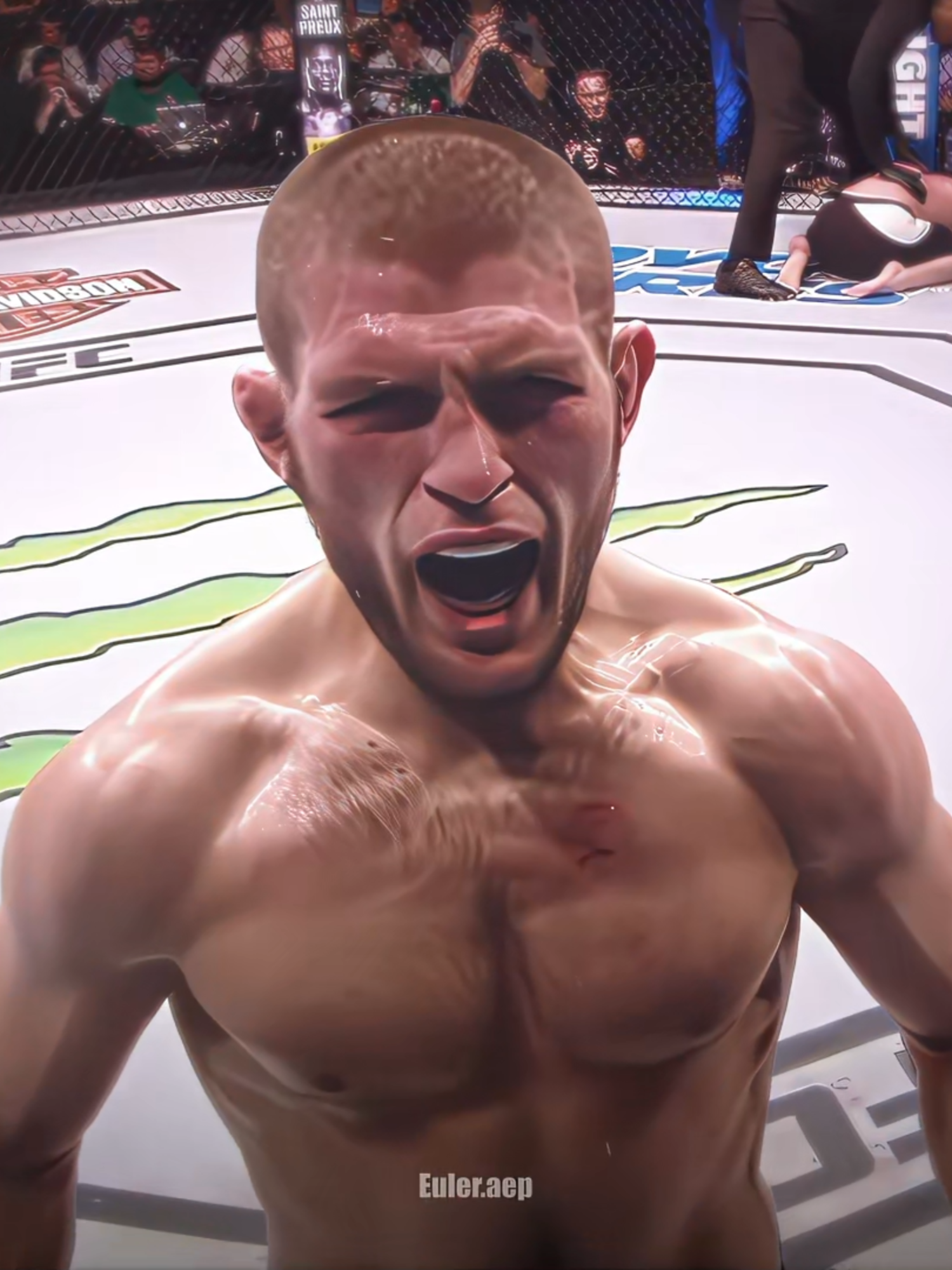 khabib the eagle 🦅 #fypツ #dz #fyp #series #UFC #khamzatchimaev #khabib