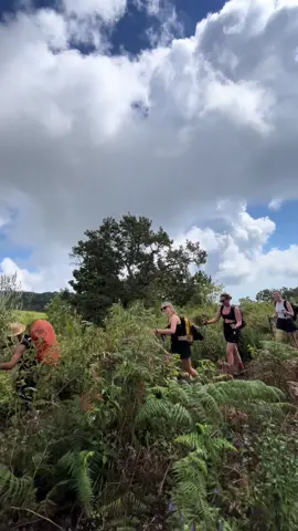 Book with Us Today! Flexible dates | Group & Private Tours | Best Price Guarantee Let us guide you to the peak of your adventure! #gunungrinjani #MountRinjani #hirinjani #RinjaniMountain 