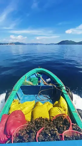 # nụ cười trong anh đã dần tắt#motchutbuon 