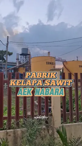 Pabrik Kelapa Sawit terbesar di Aek Nabara 😱 PKS PTPN IV REGIONAL 1  #pabrik #nilabintoro  #ptpn4 #aeknabara #sawit 