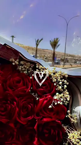 الف الحمدلله بعد غياب ١١سنة رجع اخي وسندي الله يخليلي ياك نورت سوريا بوجودك  💫♥️🥰
