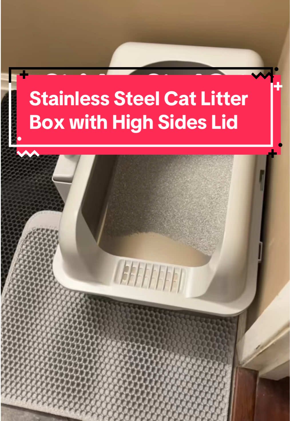 #onthisday  #catlittetbox #cat #catlitter  #foryou 