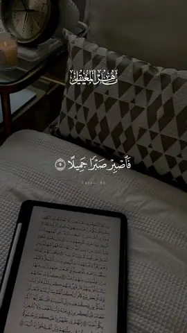 #قران_كريم #قران_صلي_علي_النبي #قران_كريم_ارح_سمعك_وقلبك♡ #قران_كريم_بصوت_جميل #قرأن_كريم_راحة_نفسية #قرلن_كريم_ارح_سمعتك_وقلبك🤲🏻 