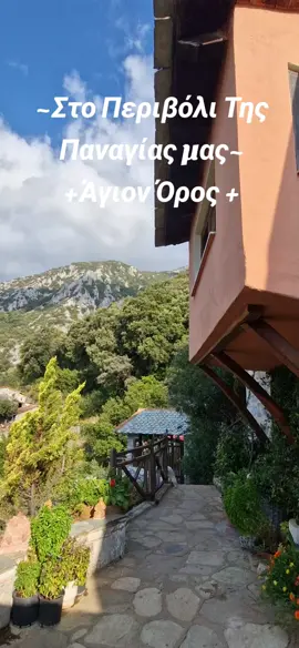 Ἡ Παναγία, θαυμάσασα τὸ φυσικὸν κάλλος καὶ τὴν ἄγριαν μεγαλοπρέπειαν τοῦ τόπου, ἐστράφη πρὸς τὸν Υἱὸν καὶ Θεὸν Της, καὶ παρεκάλει νὰ δοθῇ εἰς κλῆρον ὁλόκληρον τὸ Ὄρος τοῦτο. Καὶ ἰδοὺ, φωνὴ ἐξ οὐρανοῦ ἠκούσθη λέγουσα: «Ἔστω ὁ τόπος οὗτος κλῆρος σός καὶ περιβόλαιον σόν καὶ παράδεισος, ἔτι δὲ καὶ λιμήν σωτήριος τῶν θελόντων σωθῆναι.» #athos  #panagia  #agionoros  #αγιονορος  #askites 