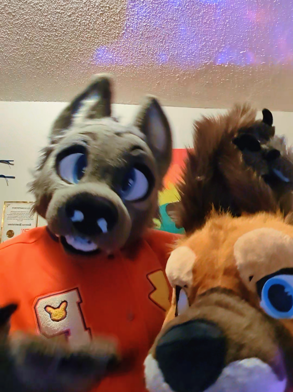 the one and only #furry #furriesoftiktok #furries #furryfandom #furrytiktok 