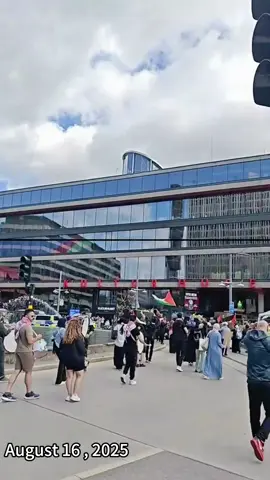 The area near the Kuwait National Assembly has become a gathering point for people to express their solidarity with Palestine. #KuwaitRally #Palestine #Solidarity #MiddleEastSituation