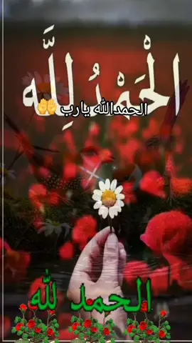 #oops_alhamdulelah #oops_alhamdulelah #يارب #🙏🙏🙏 