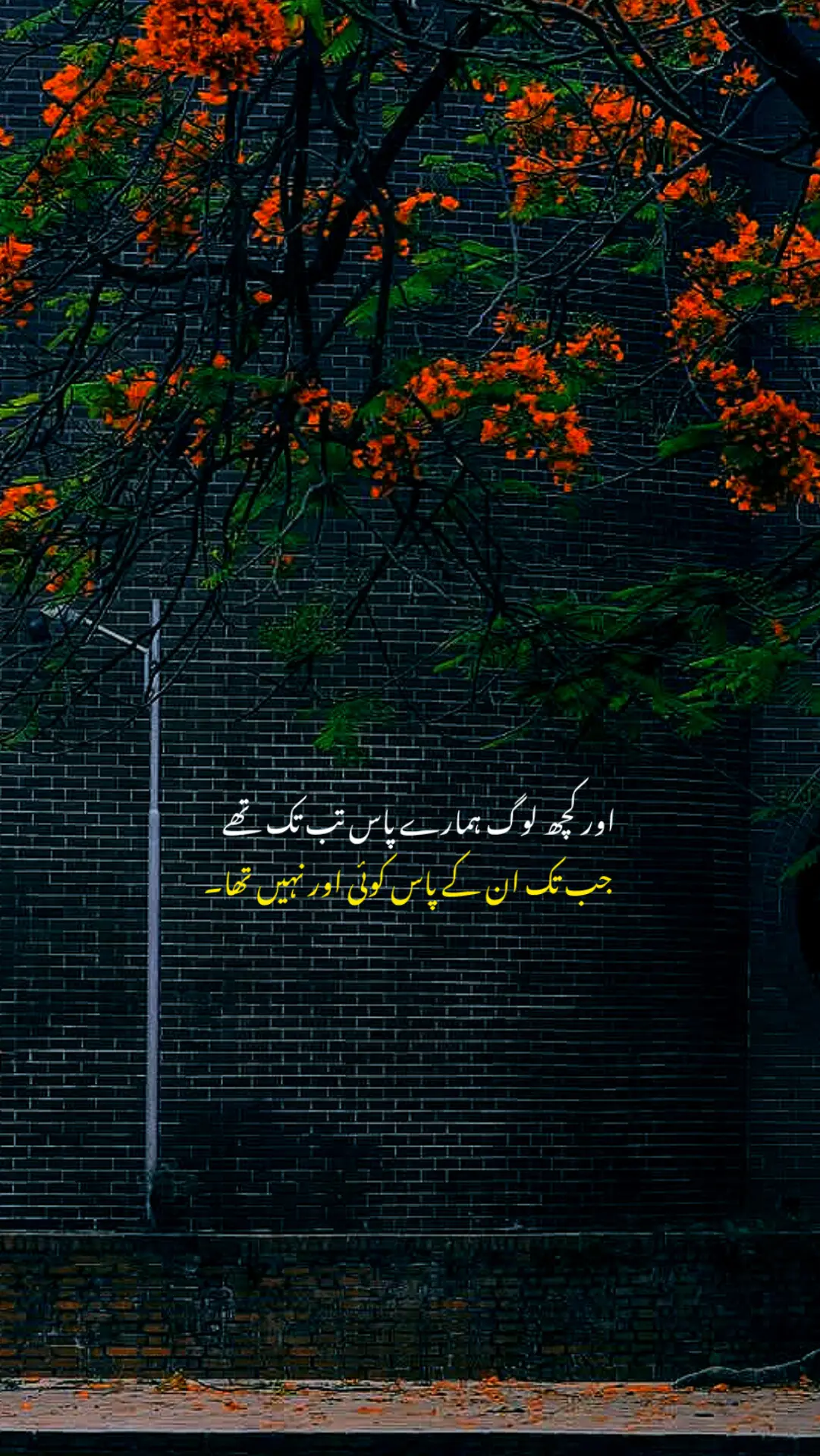 بانو قدسیہ کہتی ہیں کہ، اگر آپ نے اپنی چاہ میں کوئی کسر نہیں چھوڑی،مگر پھر بھی آپکا ساتھی آپ سے نا خوش ہے تو پھر اسے آزاد کر دیں، اور اُسے ڈھونڈنے دیں، آپ سے بہتر، یقین کریں محبت ٹھکرانے والوں کی طرف کبھی لوٹ کر نہیں آتی۔۔!#millionviews #govirallllll #fypシ゚viral🖤tiktok #poetry_lines #foryoypage 