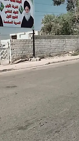 حبيبي مقتدى الصدر 