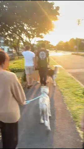 #แบมแบมกันต์พิมุกต์ #แบมแบม #แบมgot7  #WAii💜แม่บ้านบ้านม็าจุ๋ม