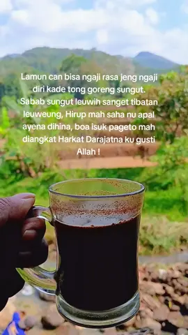 Saur sepuh 🙏🙏 #pepelingsunda #storysunda #lagusunda #katasunda #fyp 