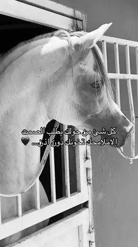 #خيل_وخياله🐎 #خيل_وخياله🐎🖤ماشاءالله_اللهم_بارك🧿♥️ #fyp #viral #اقتباسات 