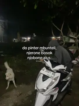 🐶