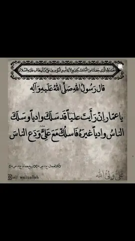 (يا عمار إن رأيت عليّاً قد سلك وادياً وسلك الناس وادياً غيره فاسلك مع عليّ ودع الناس) #طريق_الحق #علي_مع_الحق_والحق_مع_علي #الامام_علي_بن_أبي_طالب_؏💙🔥 #عمار_بن_ياسر #جمعة_مباركة 