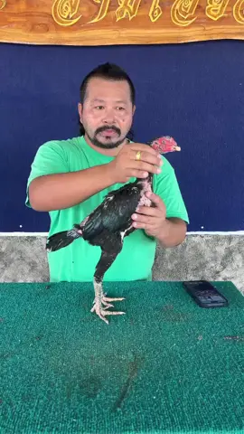 เอาลูกชายvenomมาแบ่ง7ใบเทา