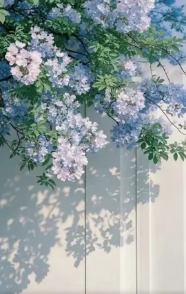 #canhdepthiennhien #beautiful #chill #flowers #chualanh 