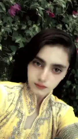 .💞⚡✌# #سنگت_ویڈیو_وائرل_کریسو_آپ_ہیں🥀🌼🙈✨🎇 #سنگت___لائک___شیئر___کریسو  . . . . .#creatorsearchinsights 