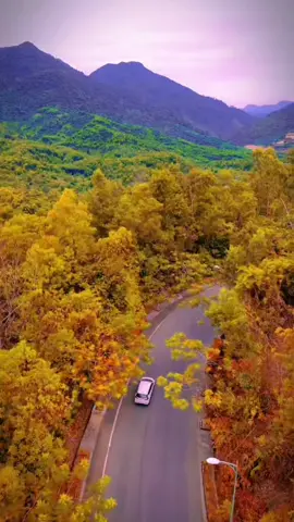 Cảnh đẹp thiên nhiên Canada #xuhuongtiktok #nhacvang #nhachaymoingay #giaitri #tiktokvietnam 