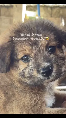ແພ້ເຂົາ🤧#ຟີດດດດ✨ #ໂມງນີ້ຟິດຢູ່ບໍ #🥺 
