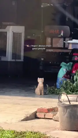 #fyp  MasyaAllah, indah sekali mesej dari video kucing itu. Walaupun ia hanya seekor kucing, tetapi seolah-olah menggambarkan doa dan harapan yang fitrah dalam hati setiap makhluk Allah: “Semoga aku dipertemukan dengan orang-orang yang baik.” 👉 Maksud penyampaian kata-kata itu ialah: Kita semua, manusia atau haiwan, menginginkan kebaikan, kasih sayang, dan perlindungan. Doa seekor kucing itu seolah-olah mengingatkan kita agar berdoa kepada Allah supaya sentiasa dikelilingi oleh orang-orang soleh, yang membawa kepada kebaikan dan jalan menuju redha Allah SWT. Doa Ringkas (Arab & Terjemahan) اللَّهُمَّ اجعلني في صحبةِ الصالحين، واصرف عني أهلَ الشرِّ والظالمين Terjemahan: “Ya Allah, jadikanlah aku dalam lingkungan orang-orang yang soleh, dan jauhkanlah aku daripada orang yang jahat serta orang yang zalim.” 🤲✨ Penutup & Hashtag Dakwah “Semoga kita semua, seperti doa seekor kucing itu, sentiasa bertemu dengan orang-orang baik yang membawa kita dekat kepada Allah SWT.” 🌸 #JumaatBarakah #DoaHariJumaat #DakwahTikTok #KucingDanDoa 