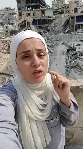 #creatorsearchinsights 