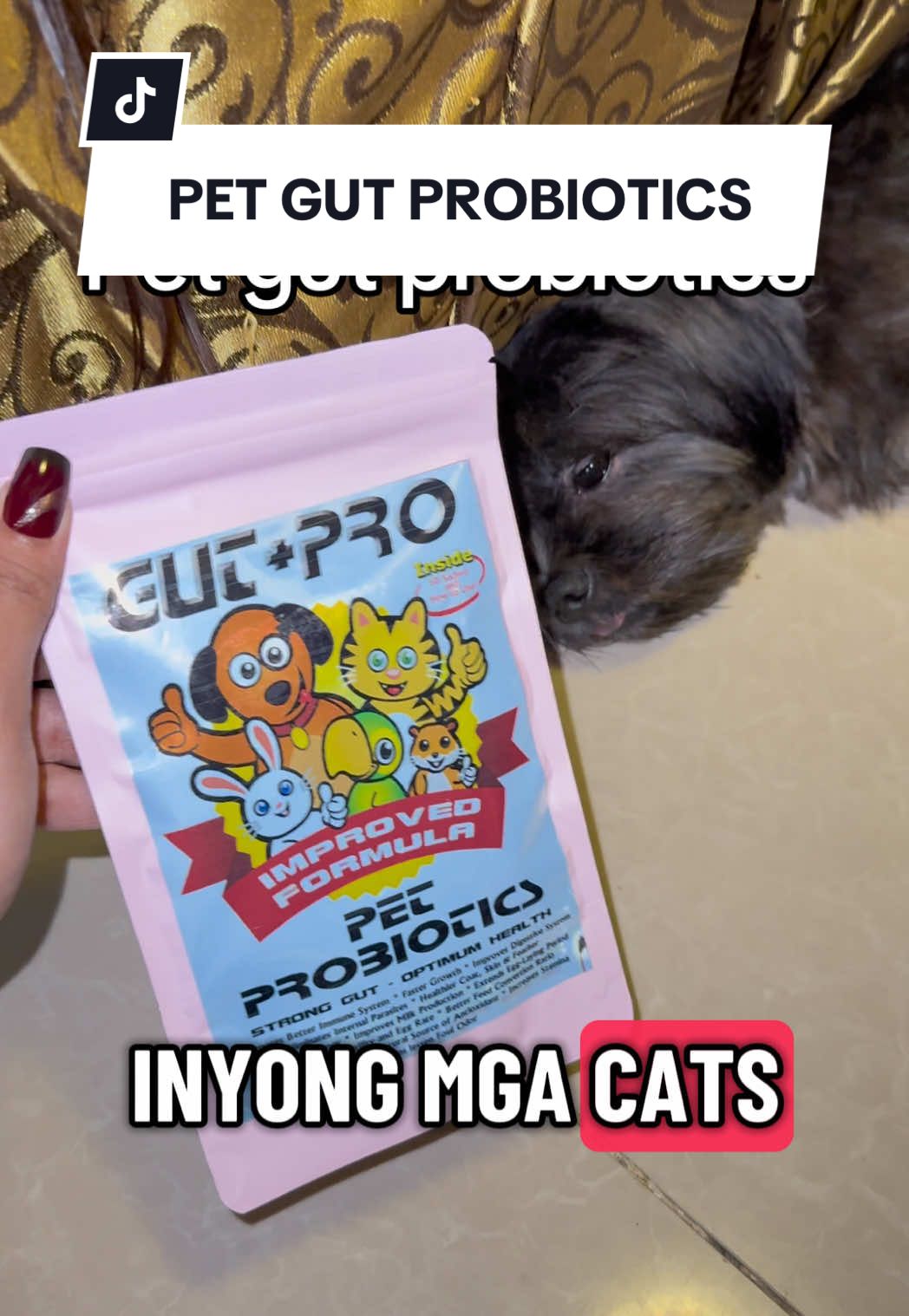 Gut Pro Pet Probiotics Health and Growth Stimulator Improve Pet Immune System Support ✨ #petprobiotics #dogprobiotics #petguthealth #dogguthealth #petimmunesupport 