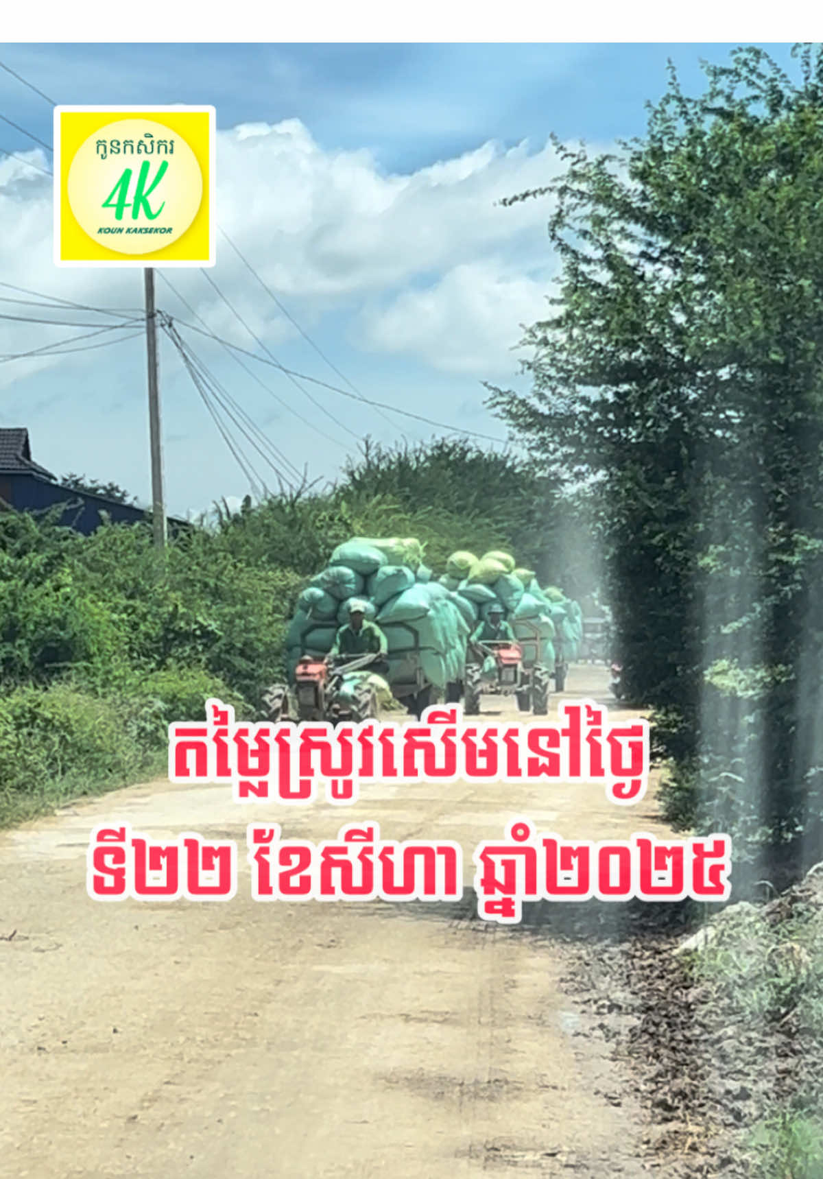 🌾 តម្លៃមធ្យមភាគស្រូវសើមនៅថ្ងៃទី២២ ខែសីហា ឆ្នាំ២០២៥ តើតម្លៃជាក់ស្តែងបងប្អូនលក់បានតម្លៃប៉ុន្មានរៀល/គ.ក នៅថ្ងៃទី២២ ខែសីហា ឆ្នាំ២០២៥នេះ? សូមជួយខមិនម្នាក់មួយ ដោយបញ្ជាក់ពីទីតាំង ឃុំ ស្រុក ខេត្ត និងប្រភេទស្រូវ ។ សូមអរគុណបងប្អូនទាំងអស់គ្នាដែលបាមខមិនចែករំលែក និងជួយស៊ែរបន្តរ។ 🙏🙏🙏 #តម្លៃស្រូវសើម