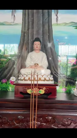 A DI ĐÀ PHẬT 🙏 tháng 7 vu lan báo hiếu ăn chay làm thiện phụng dưỡng mẹ cha Phước đức vô lượng 🙏🙏#phatphapnhiemmau #phậttửtạigia #ănchay 