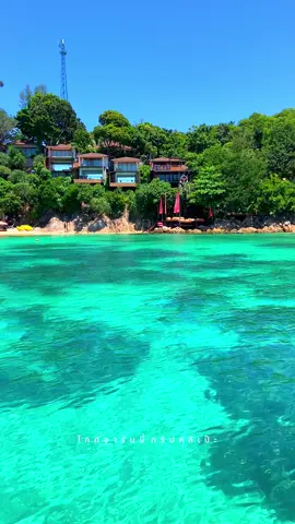 “อยู่ที่ที่มันสบายใจ ตรงไหนก็มีความสุข” 🫶🏻🌴🩵 #ที่พักบนเกาะหลีเป๊ะ #พูลวิลล่าติดทะเล #ฮิลใจ 📸 : #ไกด์อาร์มมี่ทริปหลีเป๊ะ 