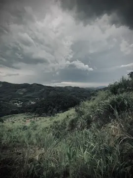 当人们寻求平静时，常常会忘记暴风雨中的誓言。Khi tìm được bình yên, người ta thường quên đi lời thề trong giông bão.